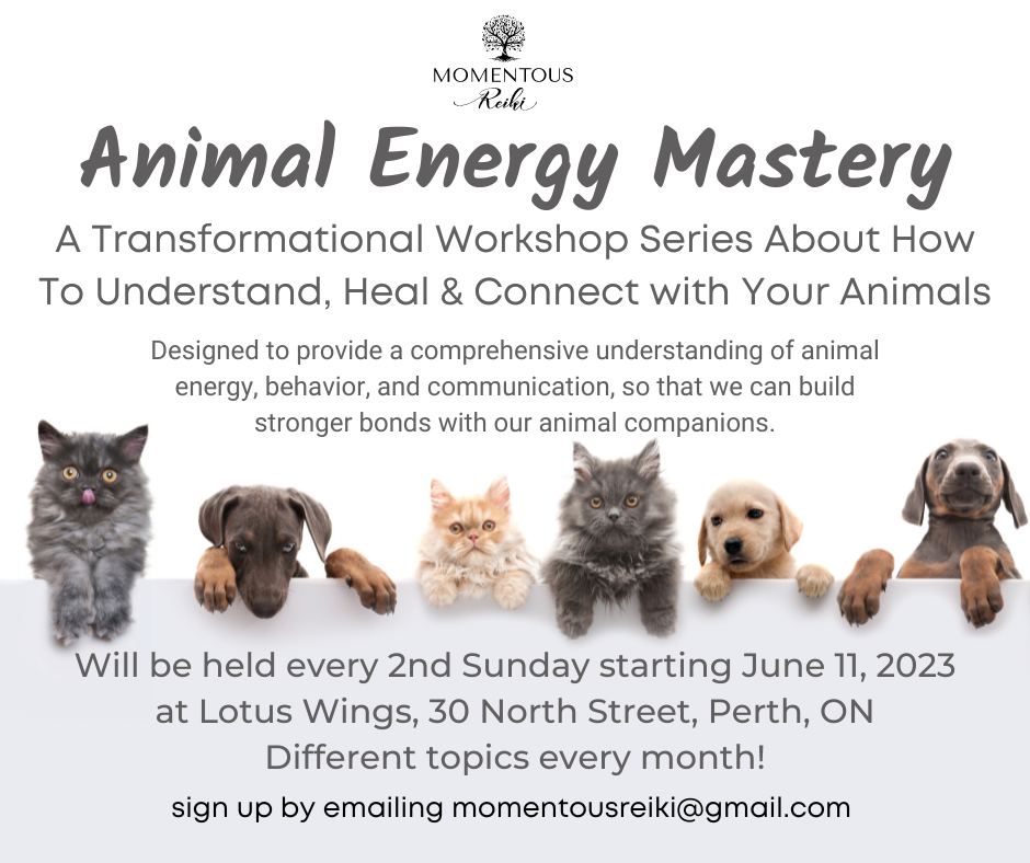  Animal Energy Mastery Workshop with Moe Rosteius