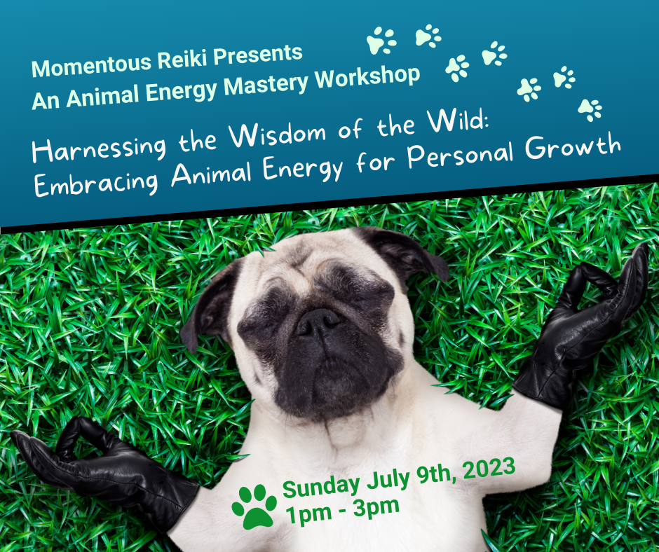  Momentous Reiki Presents an Animal Energy Mastery Workshop