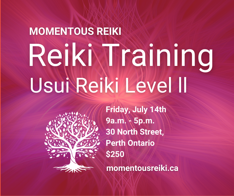  Level II Usui Reiki Training with Moe Rosteius