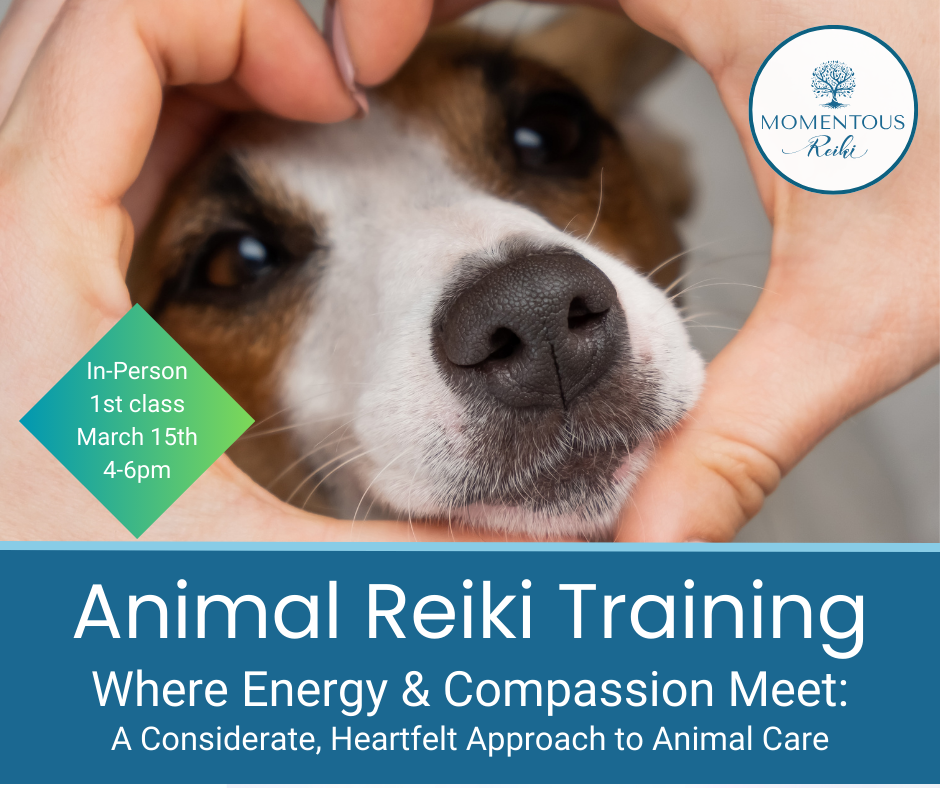  Animal Reiki Training with Moe Rosteius