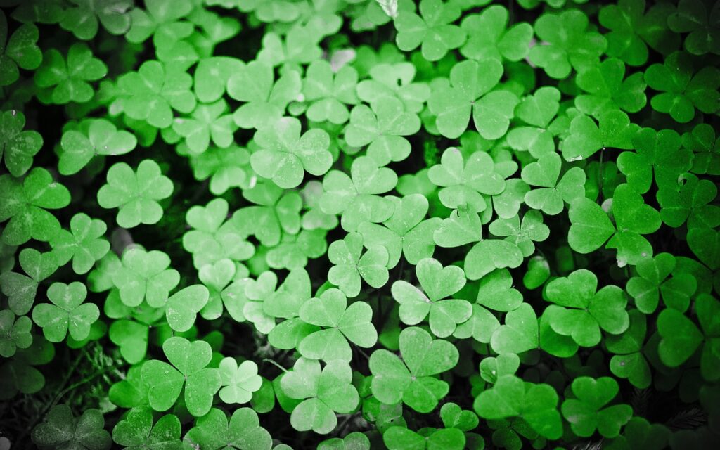 Happy St. Patrick\'s Day!!