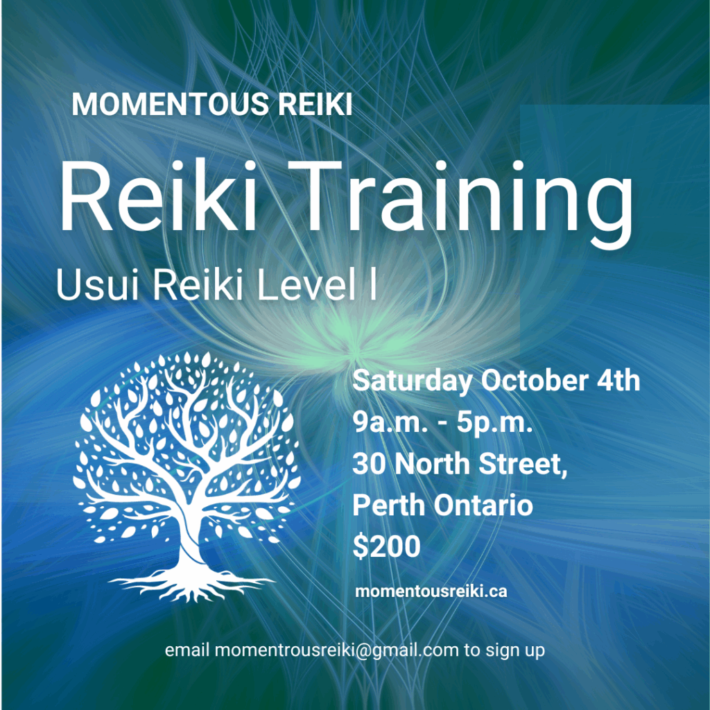 Usui Reiki Level 1 Training with Moe Rosteius